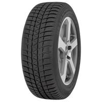 FALKEN Eurowinter HS-449 RFT MFS