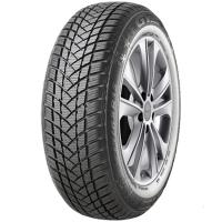 GT Radial Winter Pro 2 Sport Evo