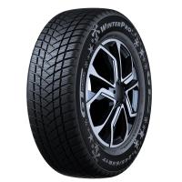 GT Radial WINTERPRO 2 (EVO)